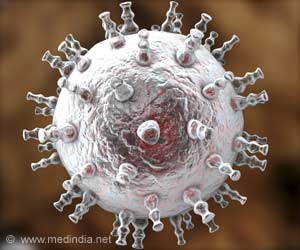 Immune System's Fight Against Herpes Revealed