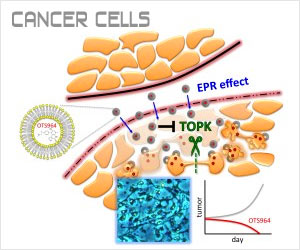 New Anti-Cancer Drug Shows Few Side Effects in Mice, Say Researchers