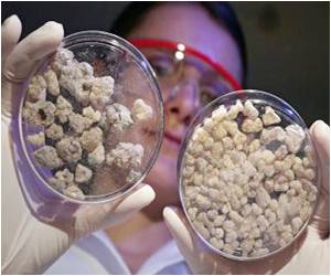 Frankincense as an Alternative Medicine