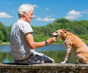 PETA  Encourages People To Adopt A ‘Yoga Partner’ From Animal Shelter