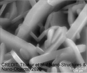 New Plant-Based Magnetic Nanoparticles With Antifungal Properties Developed
New Plant-Based Magnetic Nanoparticles With Antifungal Properties Developed