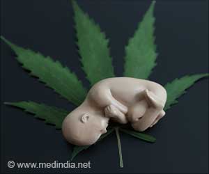 CBD Exposure During Pregnancy Can Potentially Harm A Developing Fetus