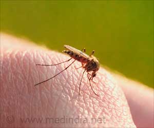 Dengue : Real Time Imaging Helps Monitor Progression of Infection