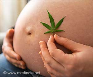 Cannabis Use During Pregnancy Impacts the Fetal Development