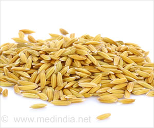 Rice Endosperm Protein Beneficial for Metabolic Syndrome