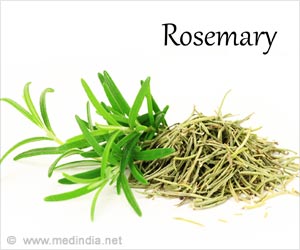 Rosemary Helps Improve Memory Power of Elderly People