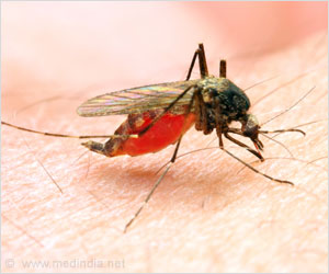 First Reported Case of Transfusion-Transmitted Ross River Virus Infection