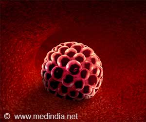 Human Embryo Implantation Captured in 3D Inside the Uterus for the First Time