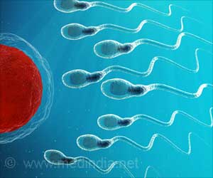 Seminal Fluid Fibrils Associated With Healthy Sperm Selection
