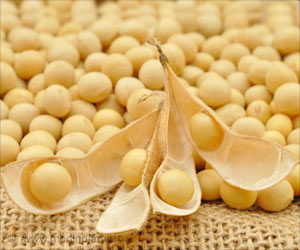 Genetically Modified Soybeans Without Allergy Causing Proteins