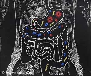  Link Between Gut Microbiome And The Cancer-Fighting Ability Of Immune System Explored