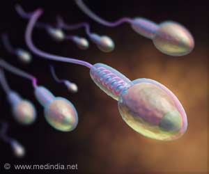 Overweight and Obesity May Lower Sperm Quality
