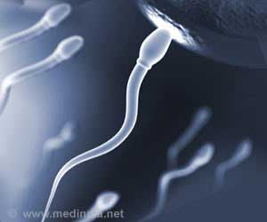 Male Infertility Traced to Missing Gene
