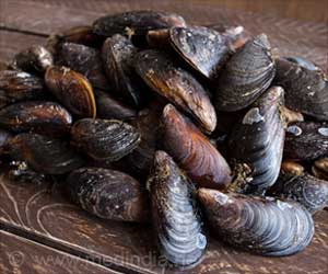 Innovative Surgical Glue With Reduced Scarring : Sticky Mussel Protein