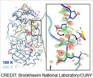 First Structure of Key COVID Enzyme Discovered!