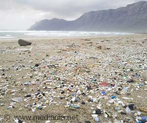  How Environmental Coatings Make Nanoplastics More Harmful