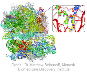 How to Combat �Superbug� Antibiotic Resistance? How to Combat �Superbug� Antibiotic Resistance?