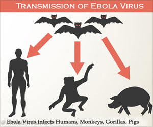 Visualization Tool Points Out Ebola Susceptible Areas
Visualization Tool Points Out Ebola Susceptible Areas