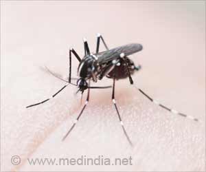 How to Deal With Dengue During the COVID-19 Pandemic?