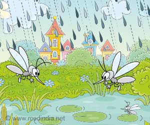 Fight Mosquito-borne Diseases: Weather Factors can Help Predict Dengue Outbreaks