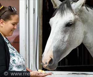 Horses Sense Human Feelings Through Faces and Tones