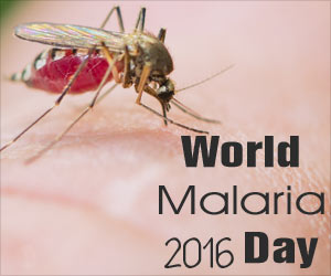 World Malaria Day 2016: End Malaria for Good