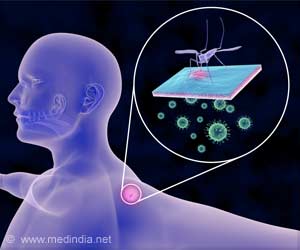 Antibody Production Provides Possible Treatment for Yellow Fever Antibody Production Provides Possible Treatment for Yellow Fever