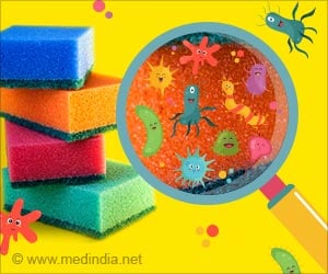 Your Kitchen Sponge is Disgusting: Here's Why

