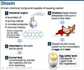 Dioxins - Health Effects
