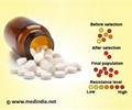 Drug Resistance / Antibiotic Resistance