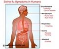 Swine Flu symptoms in Humans