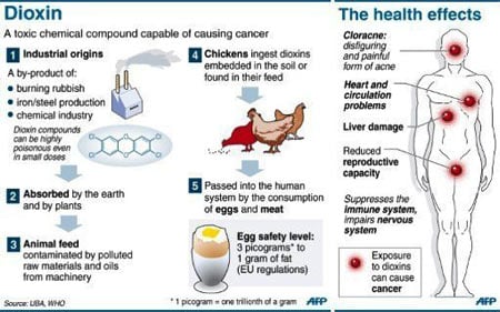 Dioxins - Health Effects