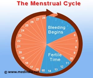 Infographics on Menstrual Cycle