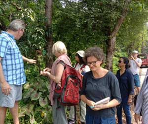 International Participants at Ayushakti Checking Ayurvedic Plants at Herbal Farm Goa