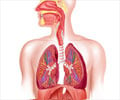 Interesting Health Facts about Respiratory System