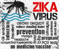 Zika Fever