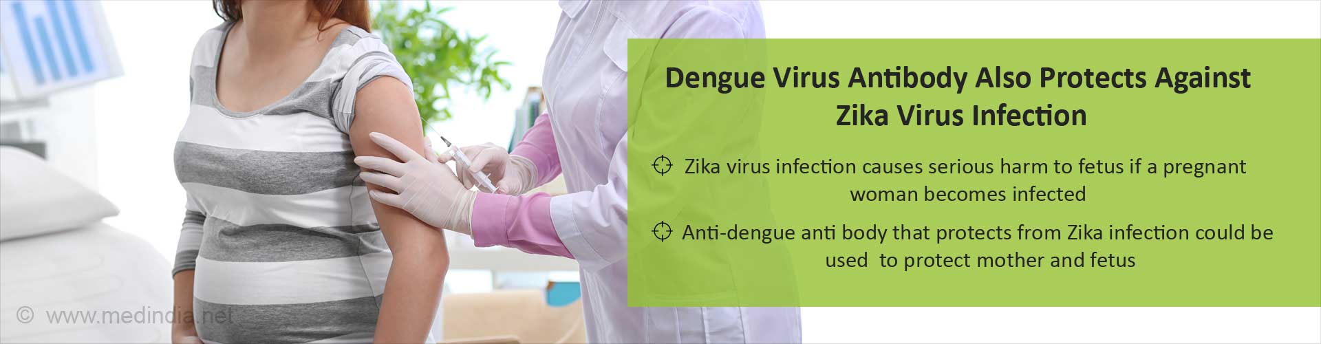 Dengue virus antibody also protects against Zika virus infection
- Zika virus infections causes serious harm to fetus if a pregnant woman becomes infected
- Anti-dengue anti-body that protects from Zika infection could be used to protect mother and fetus