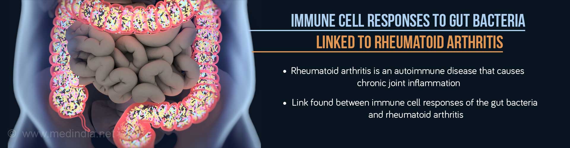 Immune cell responses to gut bacteria linked to rheumatoid arthritis
- Rheumatoid arthritis is an autoimmune disease that causes chronic joint inflammation
- Link found between immune cell responses of the gut bacteria and rheumatoid arthritis
