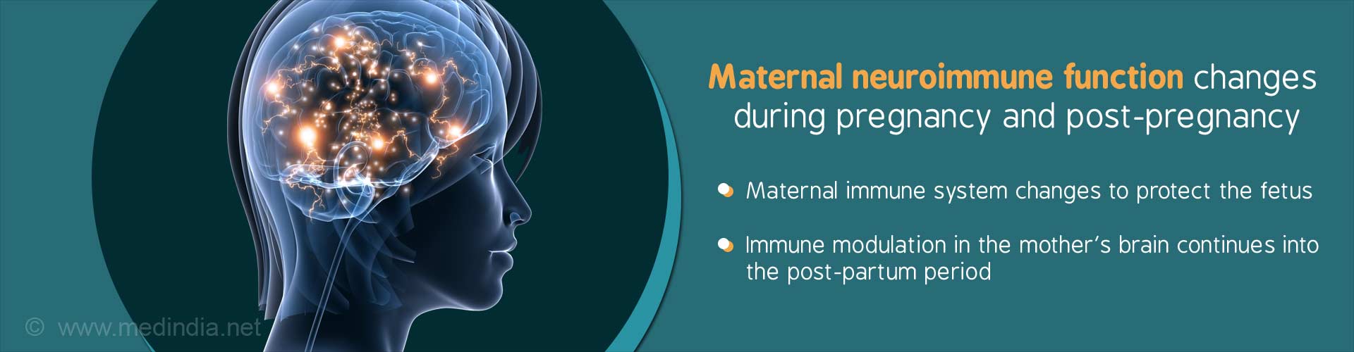Maternal neuroimmune function changes during pregnancy and post-pregnancy
- Maternal immune system changes to protect the fetus
- immune modulation in the mother''s brain continues into the post-partum period