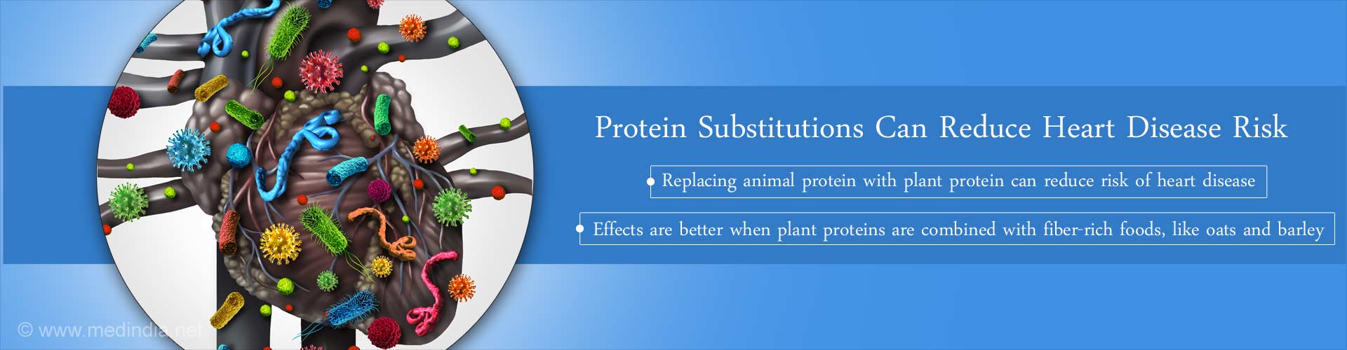 protein substitutions can reduce heart disease risk
- replacing animal protein with plant protein can reduce risk of heart disease
- effects are better when plant proteins are combined with fiber-rich foods, like oats and barley
