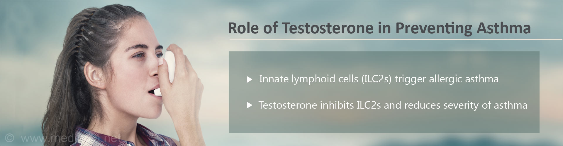 Role of Testosterone in Preventing Asthma
- Innate lymphoid cells (ILC2s) trigger allergic asthma
- Testosterone inhibits ILC2s and reduces severity of asthma