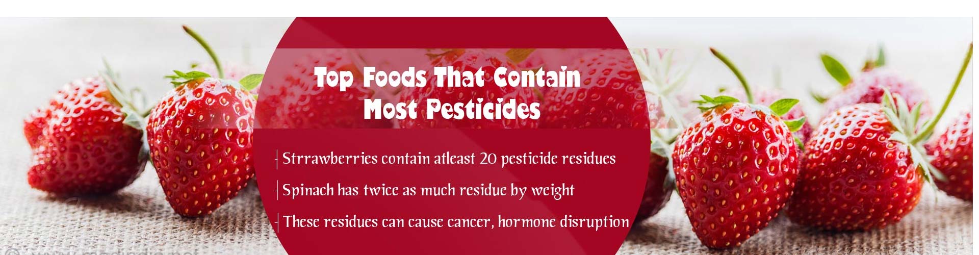 Top Foods That Contain Most Pesticides
- Strawberries contain atleast 20 pesticide residues
- Spinach have twice as much residue by weight
- These residues can cause cancer, hormone disruption