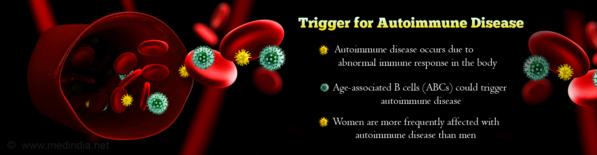 Trigger for Autoimmune Disease
- Autoimmune disease occurs due to abnormal immune response in the body
- Age-related B cells (ABCs) could trigger autoimmune disease
- Women are more frequently affected with autoimmune disease than men