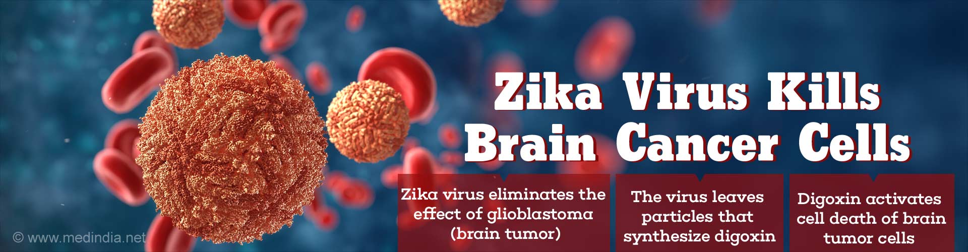 Zika virus kills brain cancer cells
- zika virus eliminates the effect of glioblastoma (brain tumor)
- the virus leaves particles that synthesize digoxin 
- Digoxin activates cell death of brain tumor