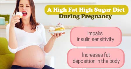 Effects High Fat and High Sugar During Pregnancy