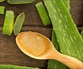 Aloe Vera a Natural Medicine for Good Health
