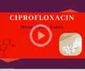 Ciprofloxacin: Antibiotic Used to Treat Typhoid Fever and other Bacterial Infections