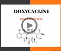 Doxycycline: Antibacterial Drug Treats Pneumonia, Cholera, Syphilis, and Pimples or Acne