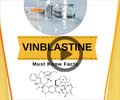 Vinblastine: Learn More About The Types of Cancer it Treats