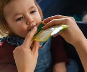 Baby Food Myths: Sweet Purées and Misleading Labels